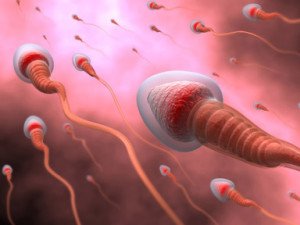 quality of the semen, how to improve quality of seman, fertility infertility seman analysis