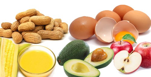 vitamin e foods to increase fertility, foods to increase fertility, foods to increase fertility pregnant, foods to boost fertility, natural foods to increase fertility