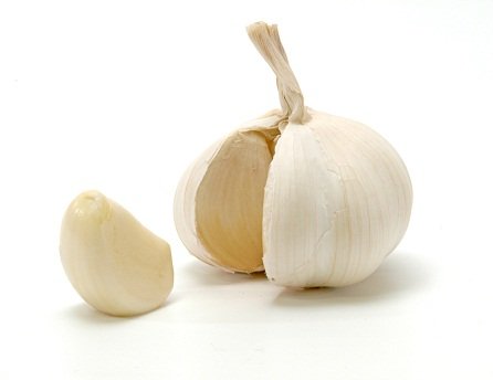 garlic for pcos, garlic benefits for pcos, garlic good for pcos, foods for pcos, foods to eat with pcos, best foods for pcos, best foods to eat if you have pcos, Food Cures for Polycystic Ovarian Syndrome, Foods That Fight PCOS, Foods which may cure polycystic ovary syndrome