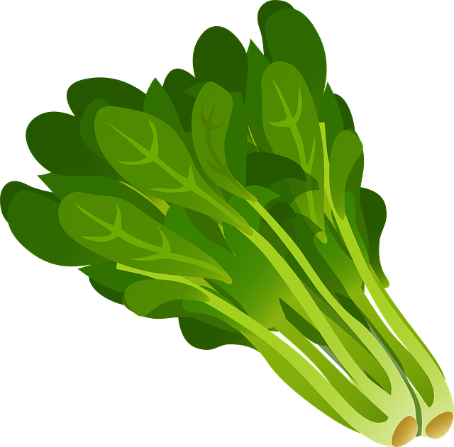 spinach, spinach stress relief, fertility boosting foods, fertility foods for women