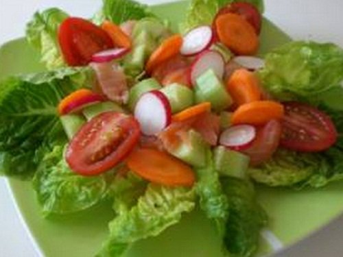PCOS Romaine and Smoked Salmon Salad, Romaine and Smoked Salmon Salad, Romaine and Smoked Salmon Salad pcos, pcos recipes weight loss, pcos diet recipes, pcos friendly recipes, pcos breakfast recipes, pcos dinner recipes, pcos dessert recipes, pcos juicing recipes, pcos chicken recipes, pcos smoothie recipes, recipes for pcos sufferers, good recipes with pcos, healthy recipes for pcos, recipes for polycystic ovarian syndrome, pcos diet plan recipes