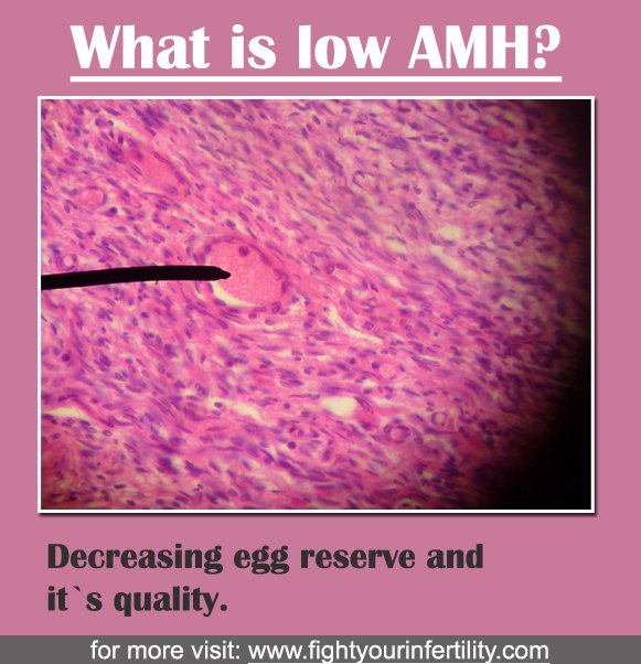 What is low AMH, how to get pregnant with low amh levels, what happens when amh is low, amh and pregnancy