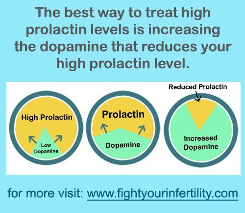 treat high prolactin levels, increasing dopamine levels, high prolactin levels treatment