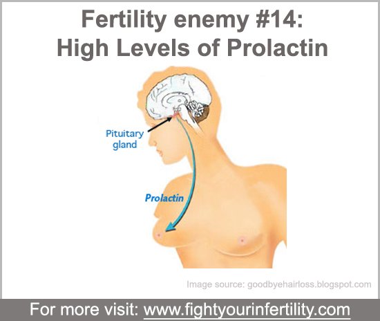 High levels of prolactin, high levels of prolactin causes, high levels of prolactin and infertility, increase in prolactin