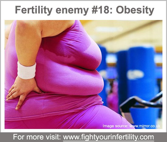 obesity and infertility, obesity causes infertility, relationship between obesity and infertility, why does obesity cause infertility