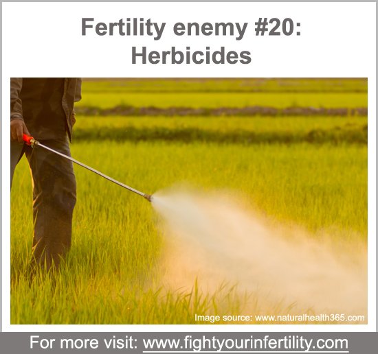 herbicide birth defects, herbicide causes birth defects