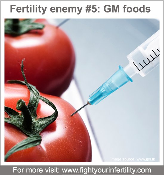 gm foods infertility, genetically modified food infertility, gm foods cause infertility, what gmo ingredients should you avoid and why, worst foods for fertility, foods bad for fertility