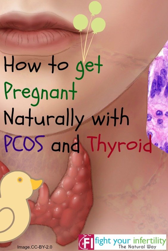 Diet Chart For Pcos And Thyroid