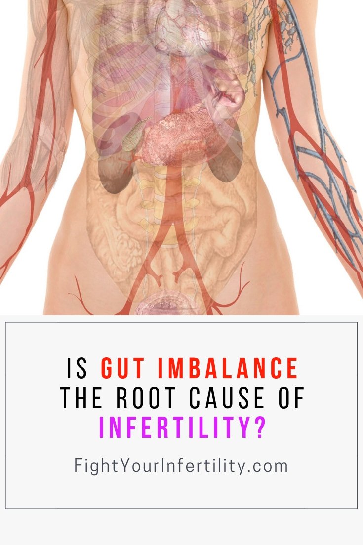 Is Gut imbalance the Root Cause of Infertility
