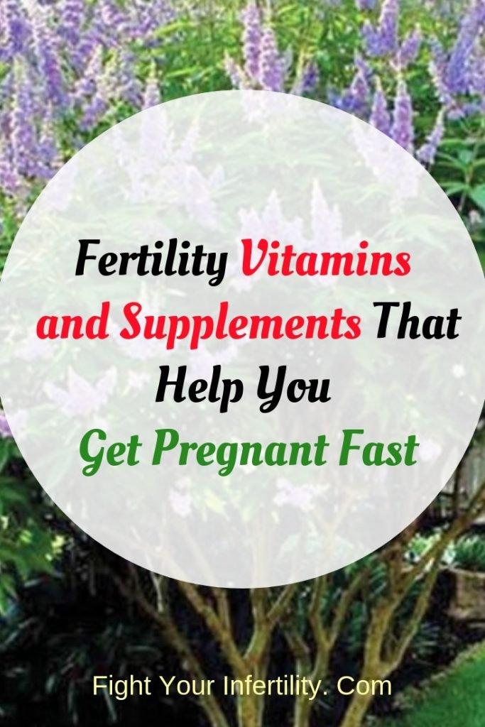 Fertility Vitamins and Supplements That Help You Get Pregnant Fast