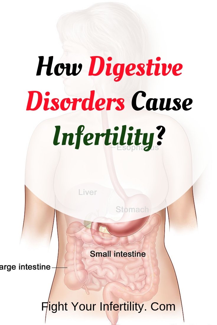 How Digestive Disorders Cause Infertility