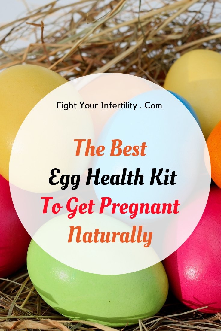 The Best Egg Health Kit To Get Pregnant Naturally