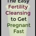 The Easy Fertility Cleansing to Get Pregnant Fast